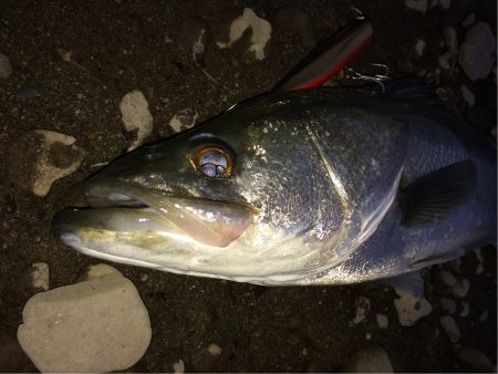 少しサイズダウン